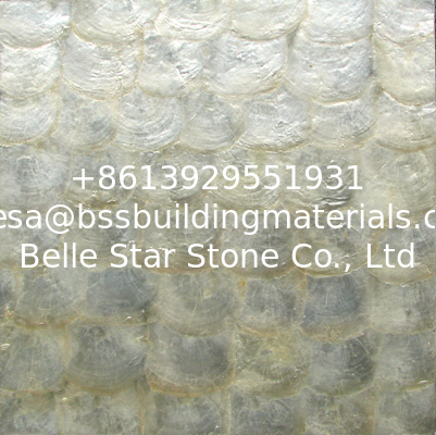 Natural Sea shell Wall Covering Capiz Shell Decorating Wall Mosaic Panel for Interior
