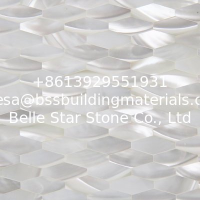 Natural Seashell Wall Covering Trochus Shell Decorating Wall Panel Rhombus Piece 10x20mm