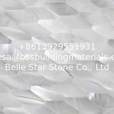 Natural Seashell Wall Covering Trochus Shell Decorating Wall Panel Rhombus Piece 10x20mm