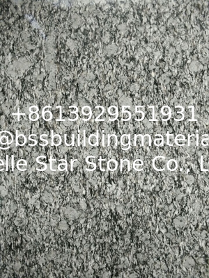 Guangdong Silver Grey Granite Tiles Sea Wave Flower Granite Floor Tiles Granite Slabs