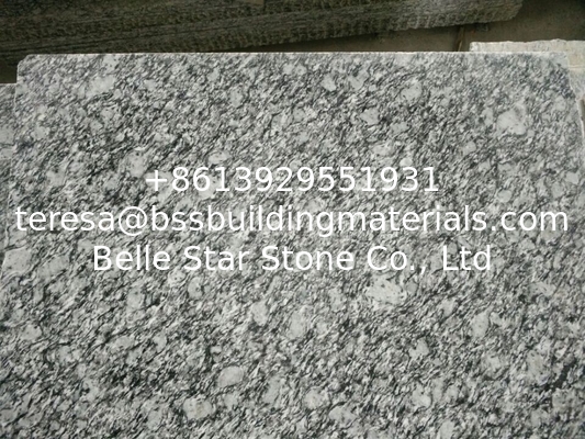 Guangdong Silver Grey Granite Tiles Sea Wave Flower Granite Floor Tiles Granite Slabs