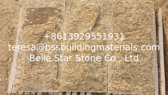 Tiger Skin Yellow Granite Mushroom Stones Granite Stone Wall Tiles Pillar/Column Wall Stone
