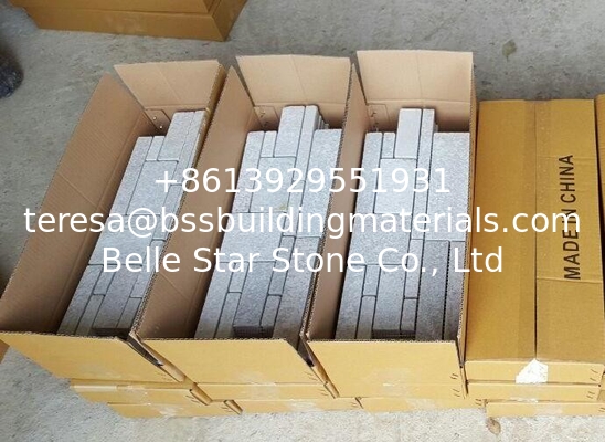 Flamed White Quartzite Stone Cladding,Special Pattern Culture Stone,Real Stone Veneer,Stone Panel