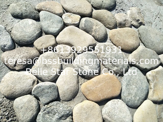 Natural Pebble Stone for Wall Decoration,Pebble Wall Cladding,Pebble Landscaping Stone,Pebble Stone Cladding,Pebble Wall