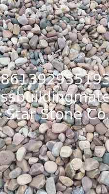 Natural River Pebble Stone,Multicolor Cobble Stone,Landscaping Stone,Wall Pebble Stone,Floor River Stone