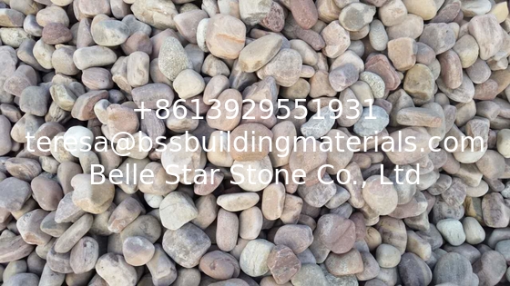 Natural River Pebble Stone,Multicolor Cobble Stone,Landscaping Stone,Wall Pebble Stone,Floor River Stone
