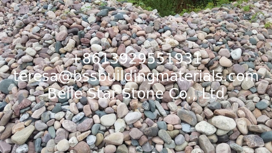 Natural River Pebble Stone,Multicolor Cobble Stone,Landscaping Stone,Wall Pebble Stone,Floor River Stone