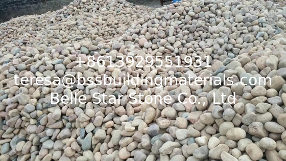 Natural River Pebble Stone,Multicolor Cobble Stone,Landscaping Stone,Wall Pebble Stone,Floor River Stone