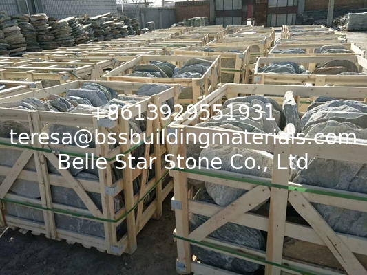 Oyster Quartzite Round Stepping Stones,Natural Stone Pavers,Garden Stepping Pavement,Landscaping Stepping Paving Stone