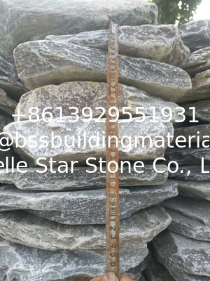 Oyster Quartzite Round Stepping Stones,Natural Stone Pavers,Garden Stepping Pavement,Landscaping Stepping Paving Stone