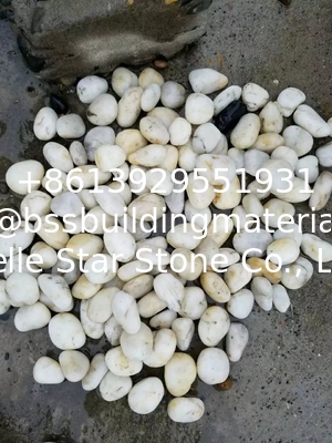 Polished White Pebble Stones,White Cobble Stones,White River Stones,Cobble River Pebbles,Landscaping Pebbles