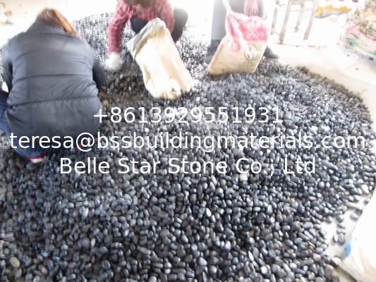 Polished Black Pebble Stones,Black Cobble Stones,Black River Stones,Cobble River Pebbles,Landscaping Pebbles