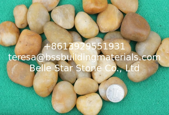 Polished Pebble Stones,Yellow Cobble Stones,Yellow River Stones,Cobble River Pebbles,Landscaping Pebbles