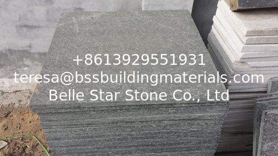 Chinese Black Quartzite Floor Tiles,Flamed Black Paving Stone,Natural Quartzite Pavers,Black Patio Stones,Stone Tiles